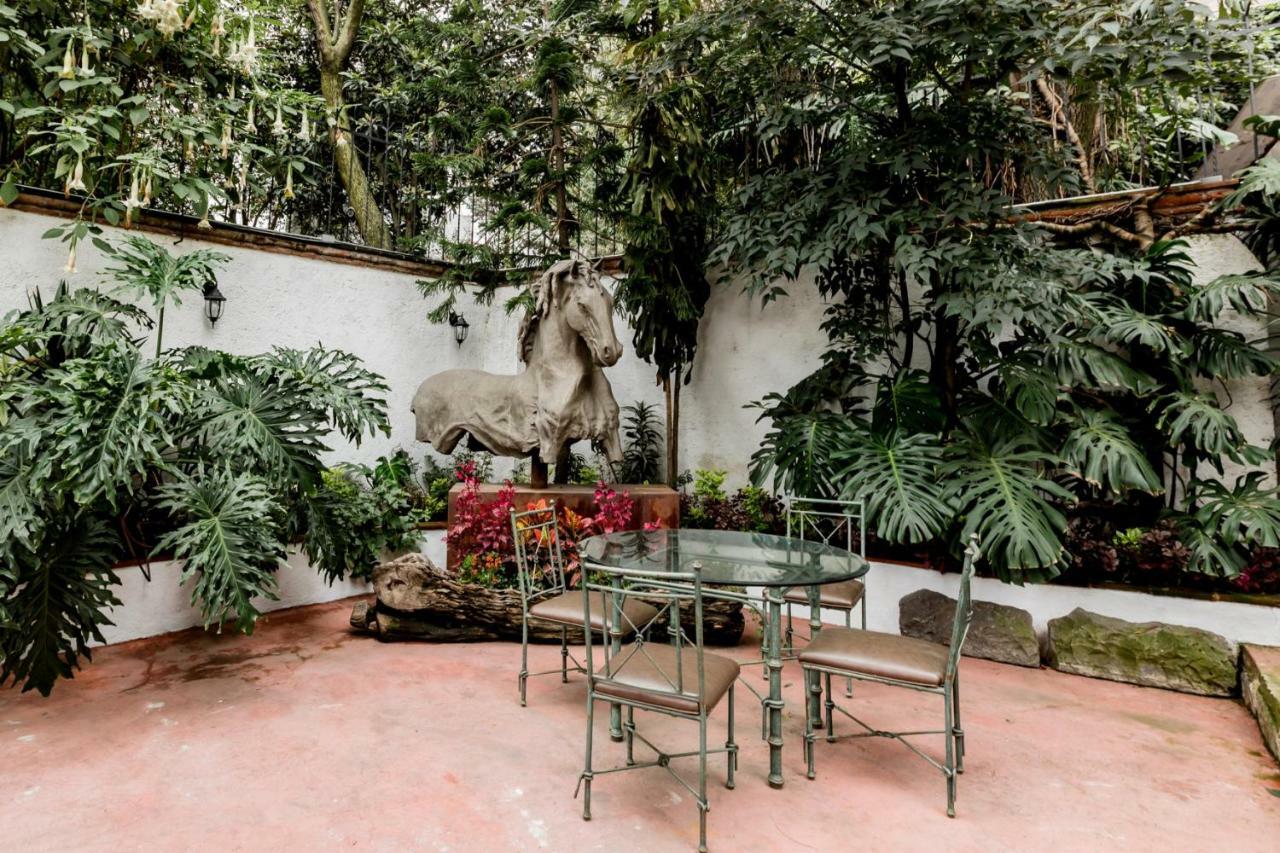 Suites Los Camilos México DF Exterior foto